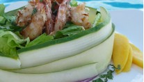 Sailing Catamaran - Yes Dear - Fine Cuisine